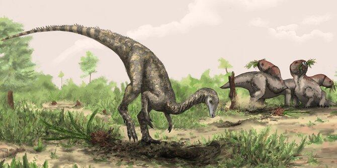 7 Pertanyaan misterius tentang dinosaurus yang tak terjawab ilmuwan