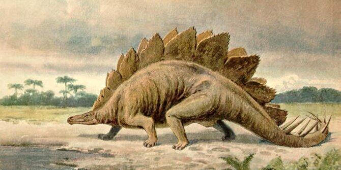 7 Pertanyaan misterius tentang dinosaurus yang tak terjawab ilmuwan