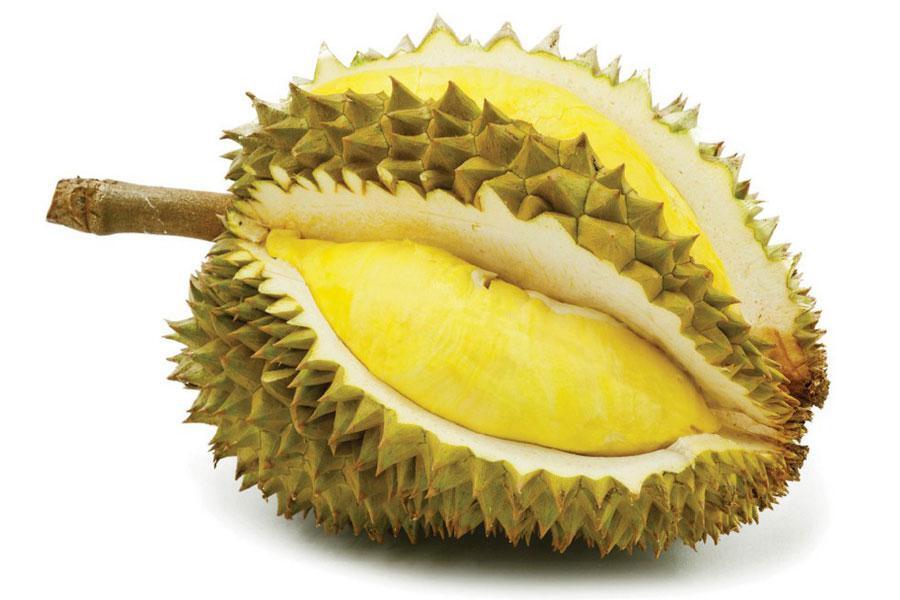 Durian, Si Legit Yang Berpenyakit!