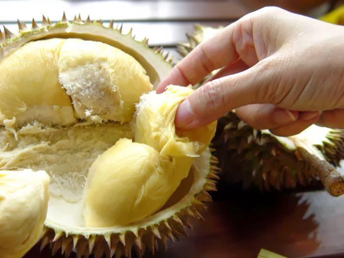 Durian, Si Legit Yang Berpenyakit!