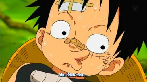 &#91;Prediksi&#93; Musuh Terakhir Luffy Adalah Akagami Shank (OnePiece)