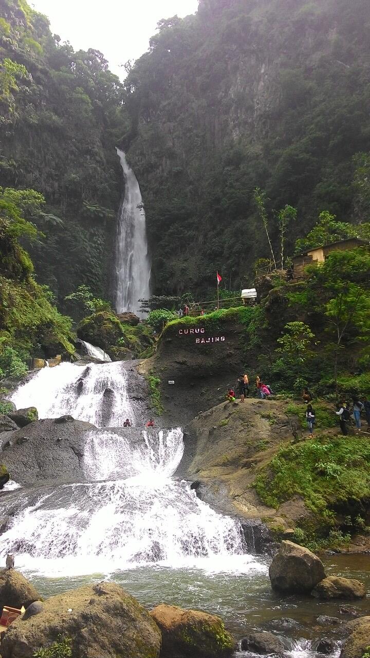 Petungkriyono