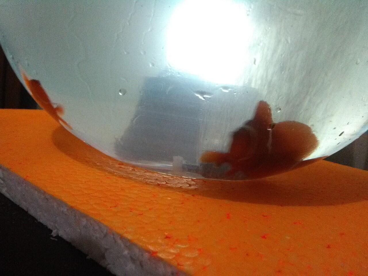&#91;SHARE&#93; &#91;HELP&#93; Bertahanlah Nemo !!!