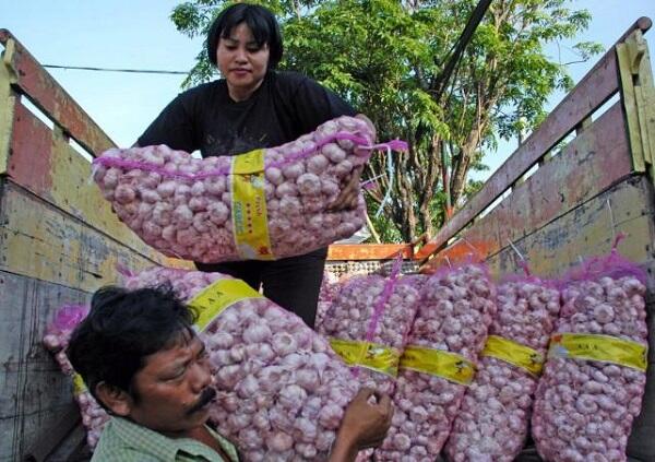 Harga Bawang Putih Melonjak, Mendag: Tak Usah Dimakan