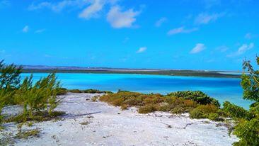 Menikmati Keindahan TURKS AND CAICOS ISLAND (CARIBBEAN)