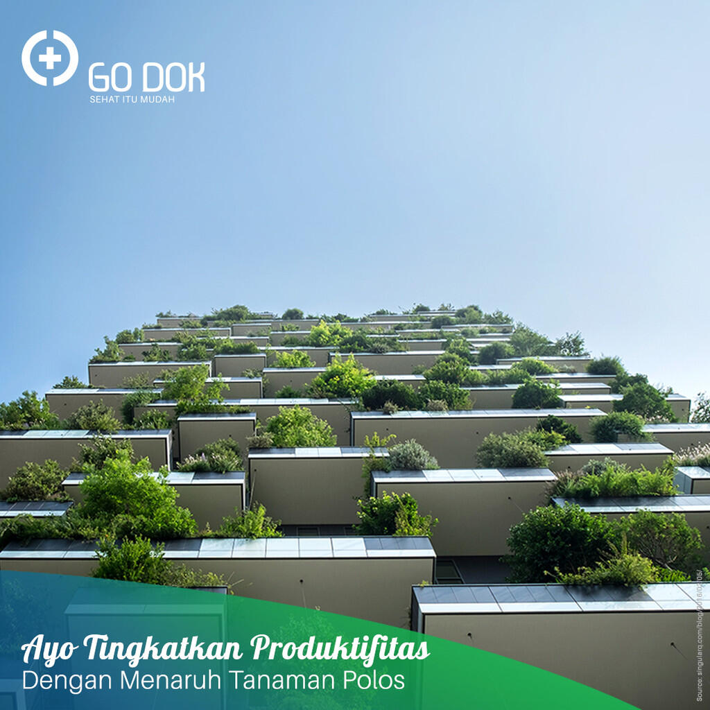 Hijau Bukan Sembarang Hijau! Ini Dia Si Hijau Pendongkrak Produktivitas
