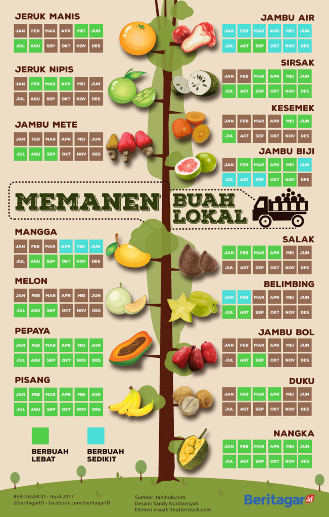 Agan suka buah-buahan? Ini kalender musim buah lokal di Indonesia buat agan.