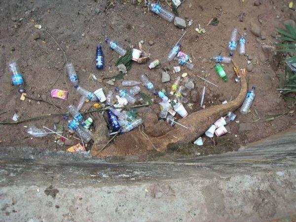 Foto-foto Menyedihkan di Kebun Binatang