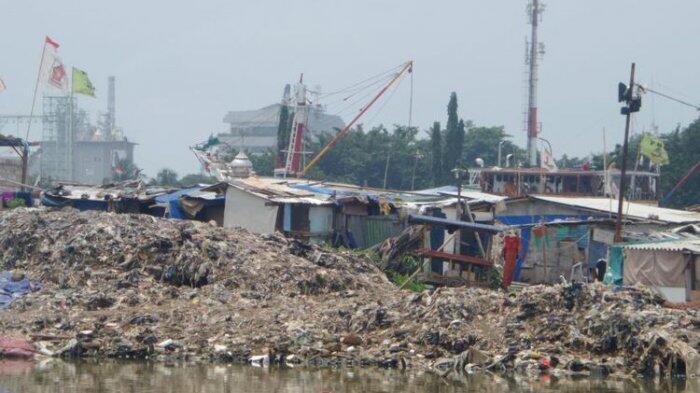 Dulu Digusur Ahok, Warga Pasar Ikan Bangun Lagi Hunian Kumuh...