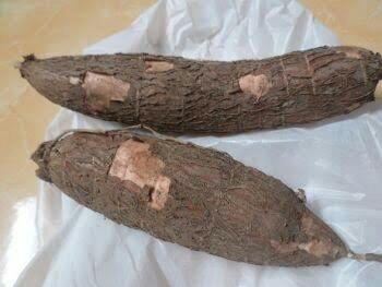 Masturbasi dengan Singkong Berbalut Kondom, Wanita Ini