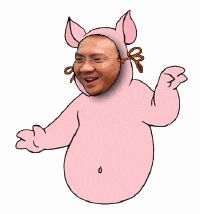 Kata Komisioner Komnas HAM, Ahok Kalah karena Ulah Jokowi