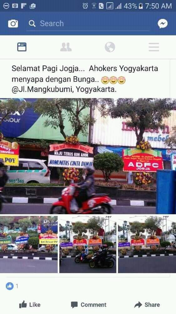 ☆Bunga untuk Ahok-Djarot Juga Menyebar ke Medan