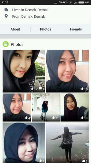 Penipuan oleh Sdr. SYAMSULANAM