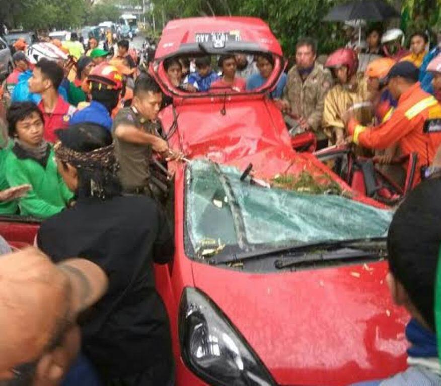 Identitas Korban Pohon Tumbang di sekitar UI