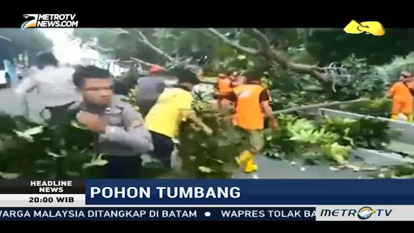 Identitas Korban Pohon Tumbang di sekitar UI