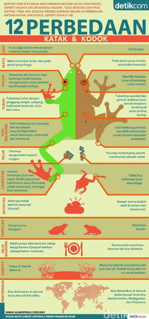 hmmm.. tau ga bedanya katak dan gan?