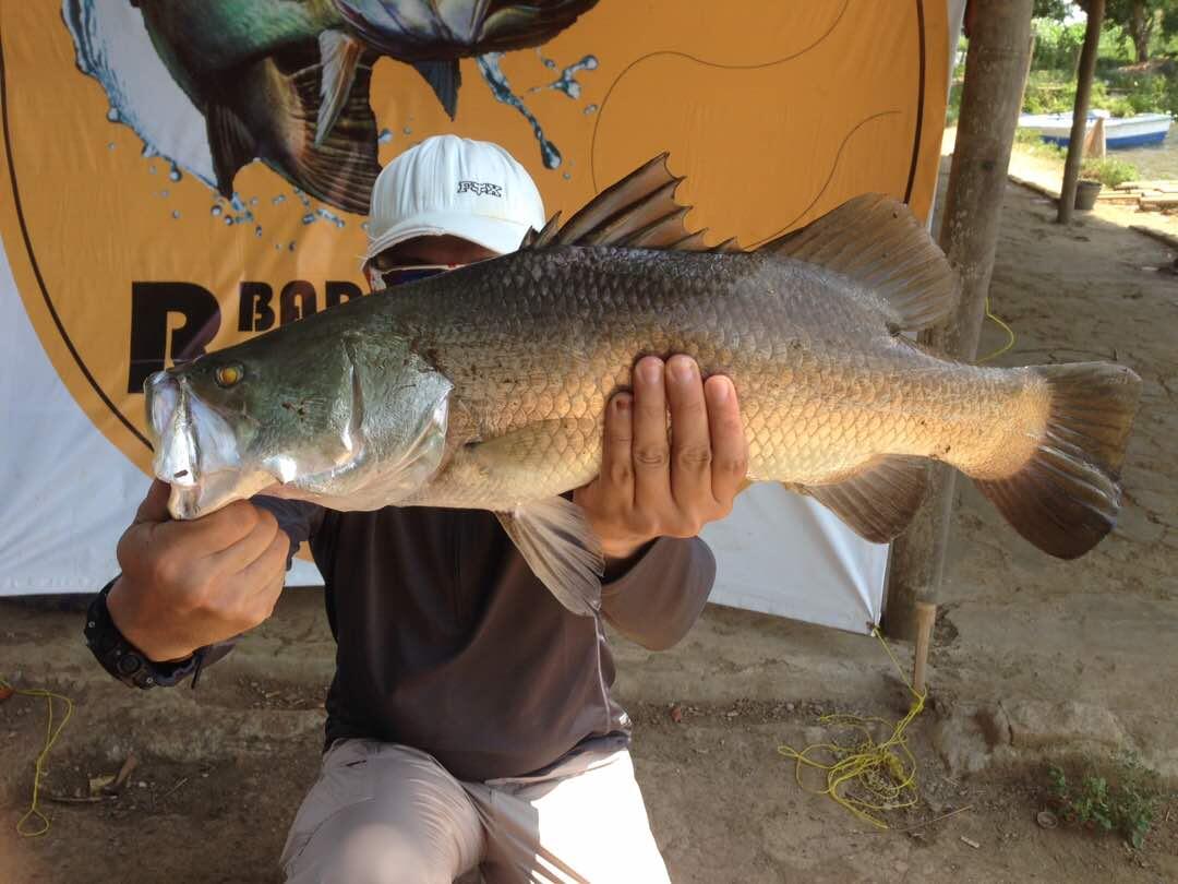 RD Barramundi Sport Fishing Pond