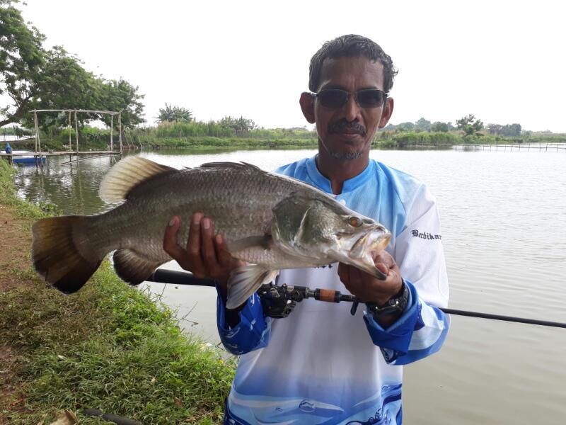 RD Barramundi Sport Fishing Pond