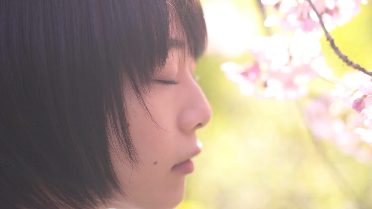 Kamu, yang tidak secantik bunga sakura