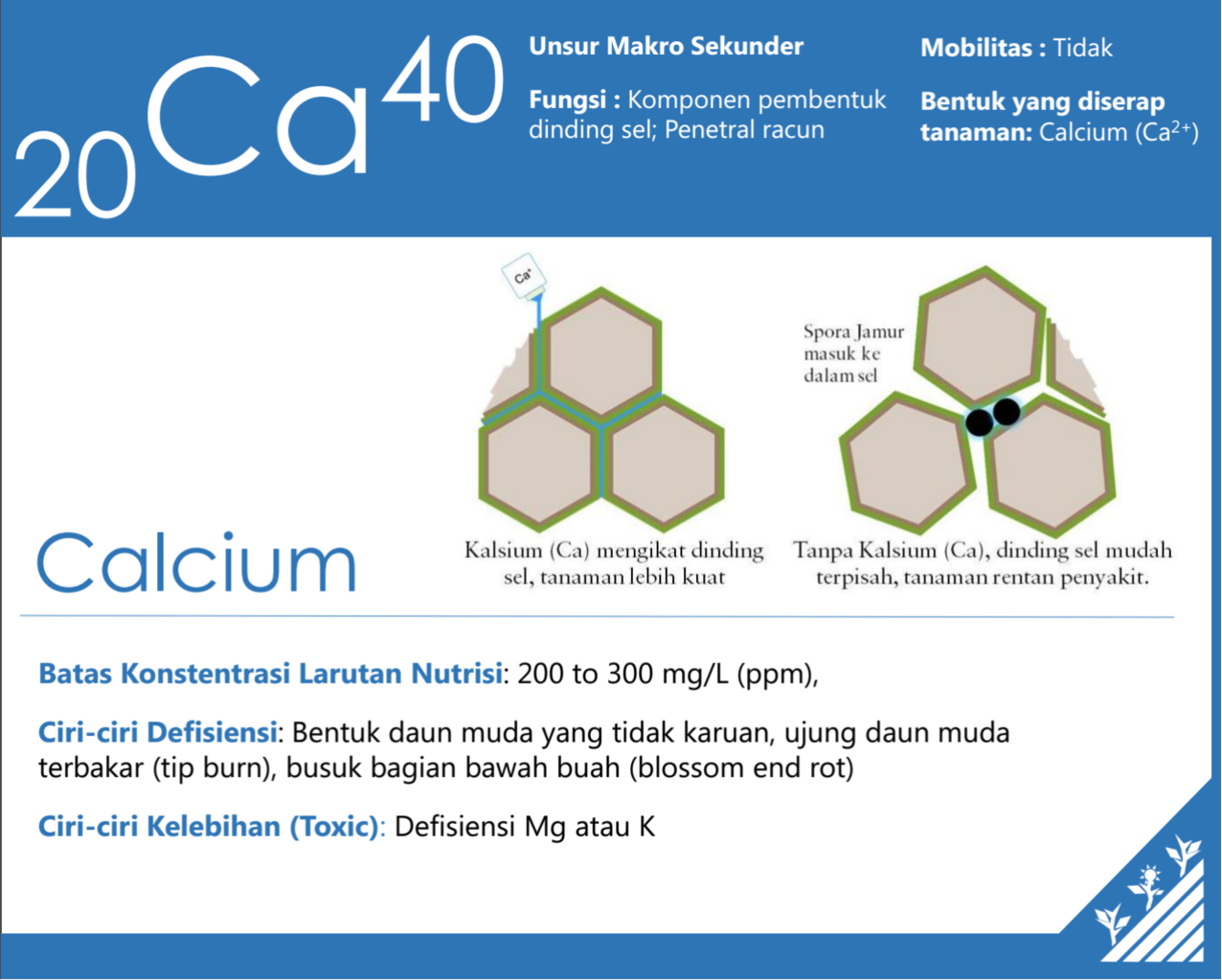SHARING ILMU MERACIK AB MIX NUTRISI HIDROPONIK