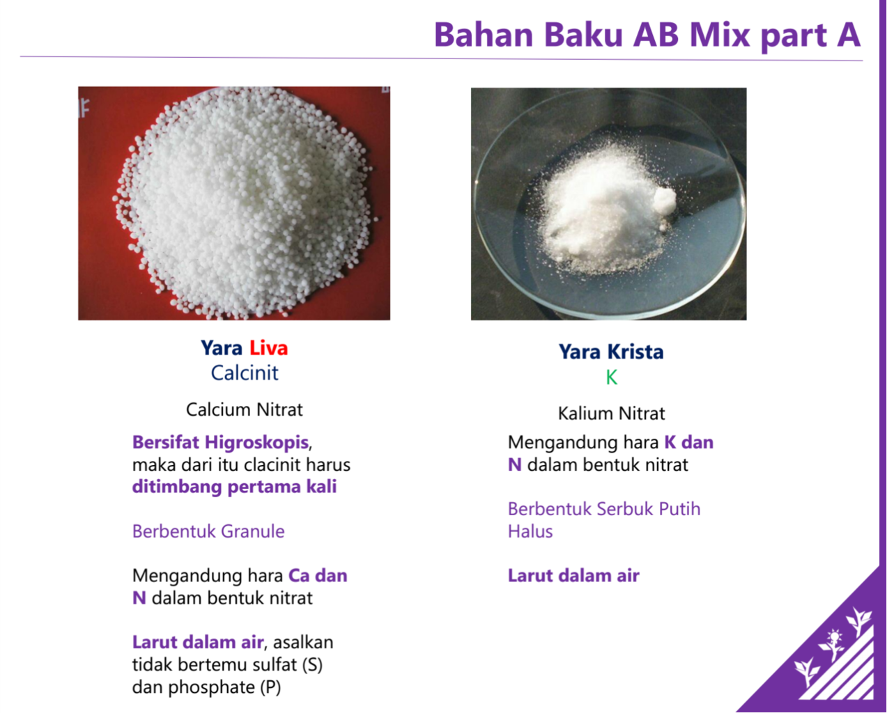 SHARING ILMU MERACIK AB MIX NUTRISI HIDROPONIK
