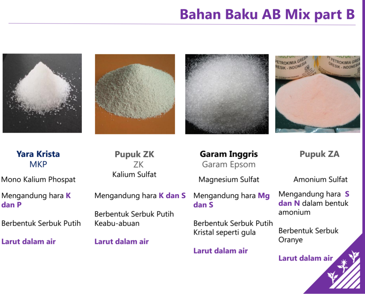 SHARING ILMU MERACIK AB MIX NUTRISI HIDROPONIK