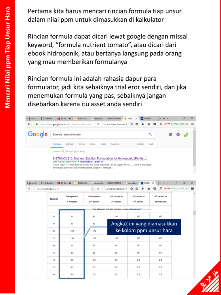 SHARING ILMU MERACIK AB MIX NUTRISI HIDROPONIK