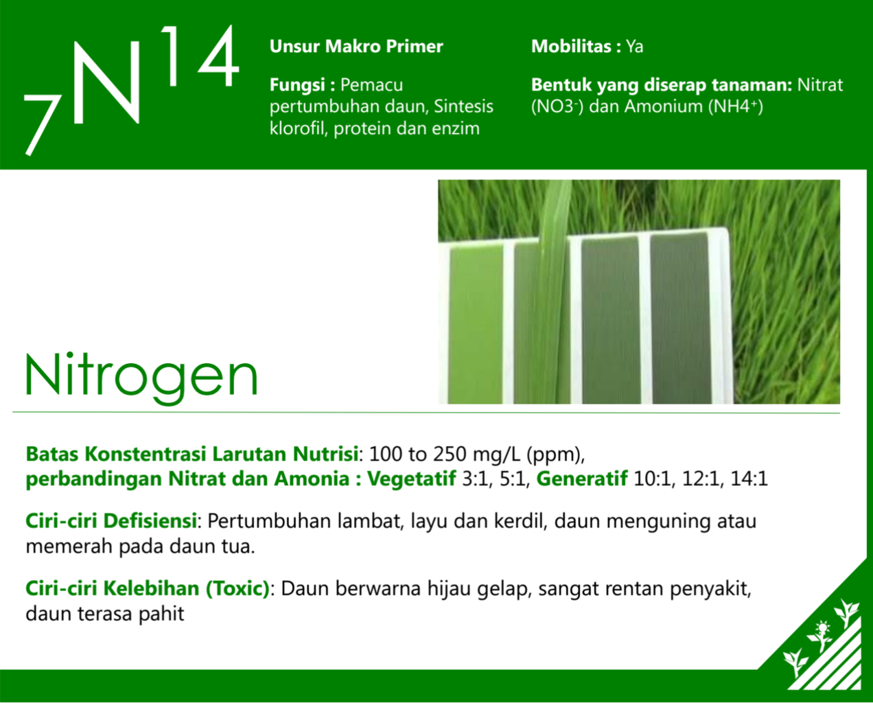 SHARING ILMU MERACIK AB MIX NUTRISI HIDROPONIK