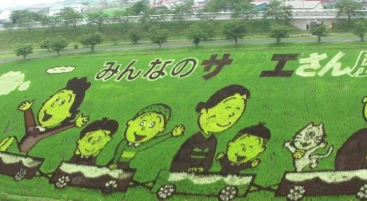 Kota Jepang Mentransformasi Sawah Padi Menjadi Karya Seni Yang Luar Biasa