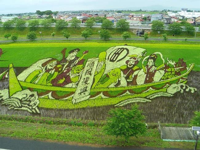 Kota Jepang Mentransformasi Sawah Padi Menjadi Karya Seni Yang Luar Biasa