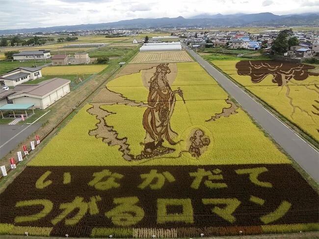 Kota Jepang Mentransformasi Sawah Padi Menjadi Karya Seni Yang Luar Biasa