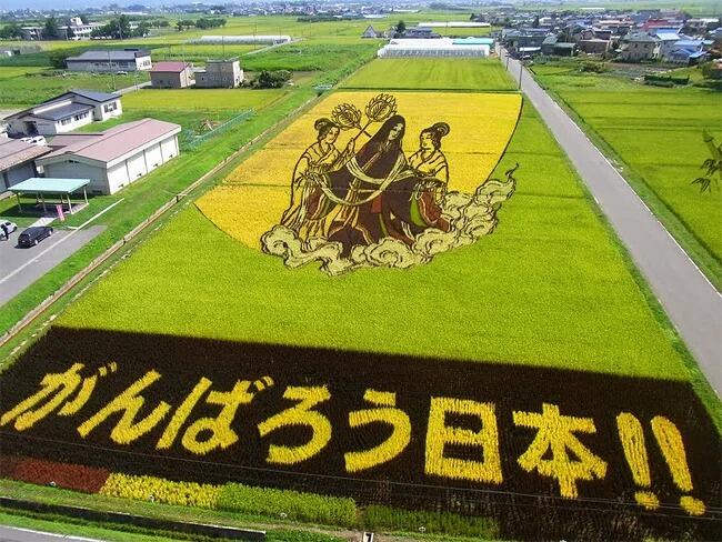 Kota Jepang Mentransformasi Sawah Padi Menjadi Karya Seni Yang Luar Biasa