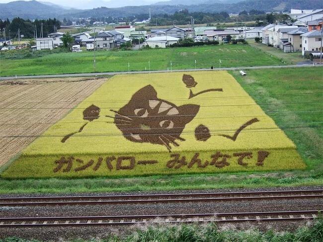 Kota Jepang Mentransformasi Sawah Padi Menjadi Karya Seni Yang Luar Biasa