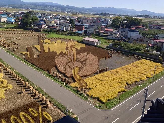 Kota Jepang Mentransformasi Sawah Padi Menjadi Karya Seni Yang Luar Biasa