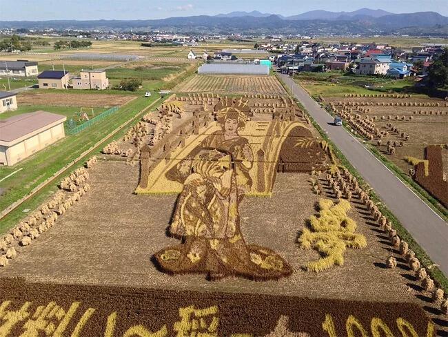 Kota Jepang Mentransformasi Sawah Padi Menjadi Karya Seni Yang Luar Biasa