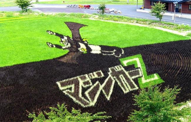 Kota Jepang Mentransformasi Sawah Padi Menjadi Karya Seni Yang Luar Biasa