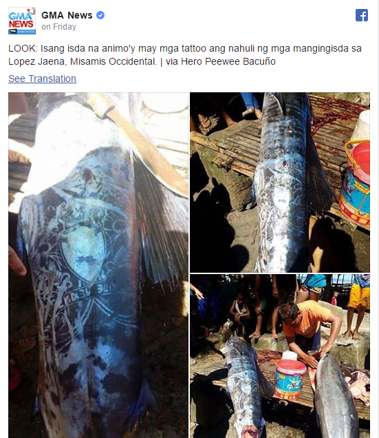Ada Ikan Bertato di Filipina?