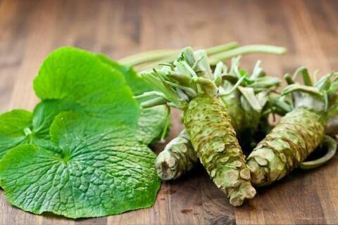 6 Manfaat Menakjubkan Wasabi Untuk Kesehatan, Kamu Wajib Cobain!
