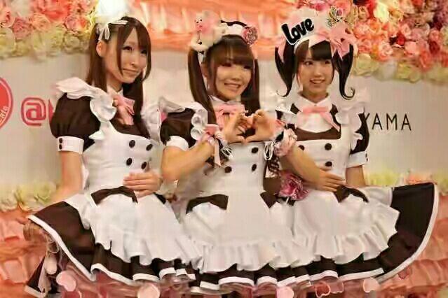 5 Kafe di Jepang Yang Paling Aneh dan Nyeleneh