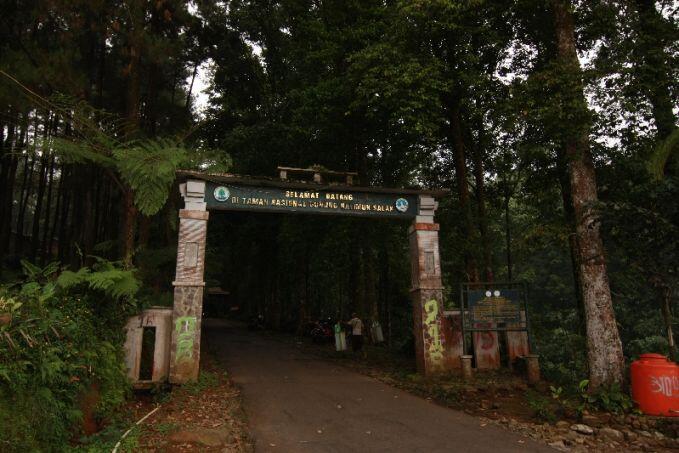 7 Kisah Misteri Tentang Pasar Gaib di Gunung Indonesia