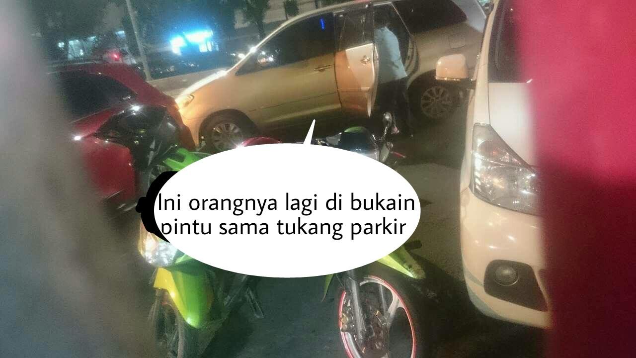 Terungkapnya Sipemberi Makan Kucing Di Gajah Mada !!