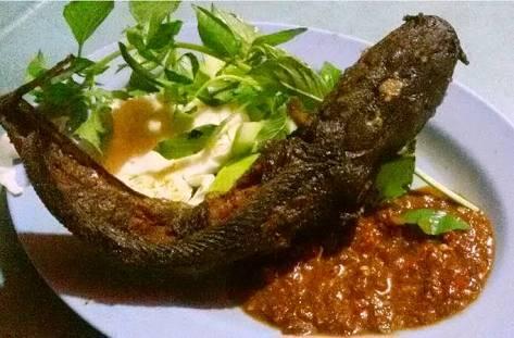 Manfaat Dan Khasiat Daun Kemangi Sebagai Obat