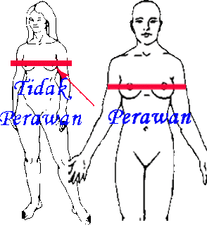 Ciri-Ciri Tanda Wanita Yang Sudah Tidak Perawan