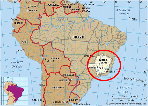 259 Orang Meninggal Akibat Wabah Demam Kuning di Brasil