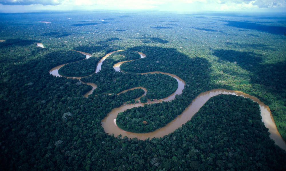 Ini Sosok Para Penunggu Hutan Amazon Yang Menyeramkan Dan Terkenal Ganas!