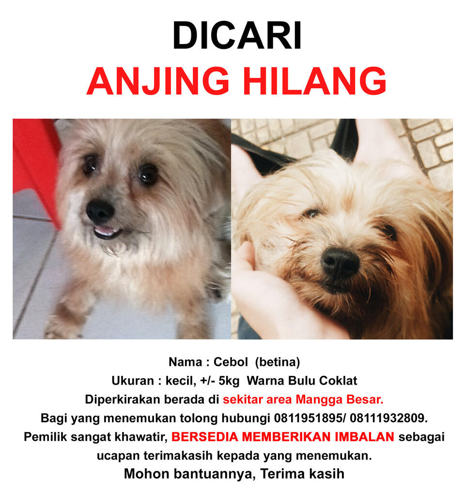 ANJING HILANG DAERAH MANGGA BESAR