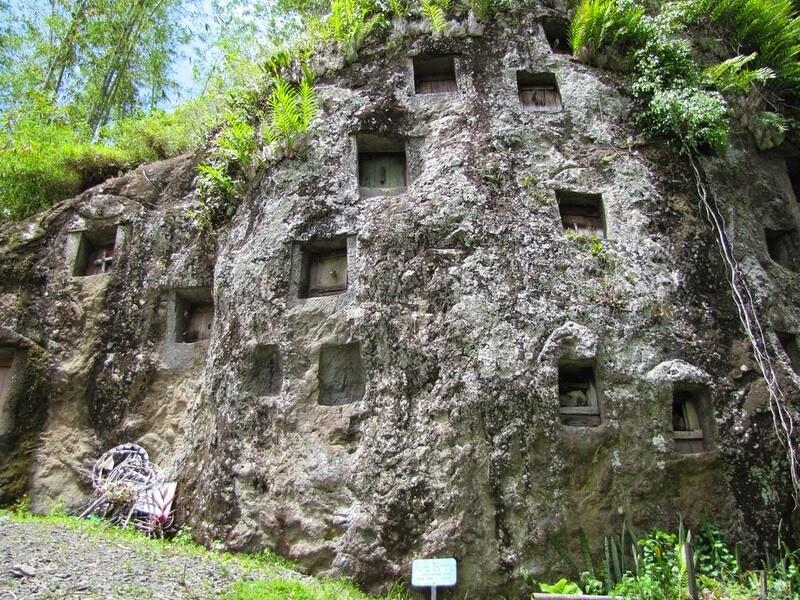 Fakta Unik tentang Kebudayaan Tana Toraja