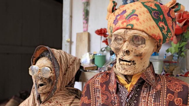 Fakta Unik tentang Kebudayaan Tana Toraja