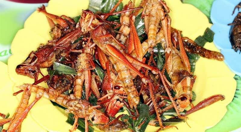 Inilah 7 Makanan Paling Ekstrim di Indonesia yang Bikin Selera Makanmu Rusak