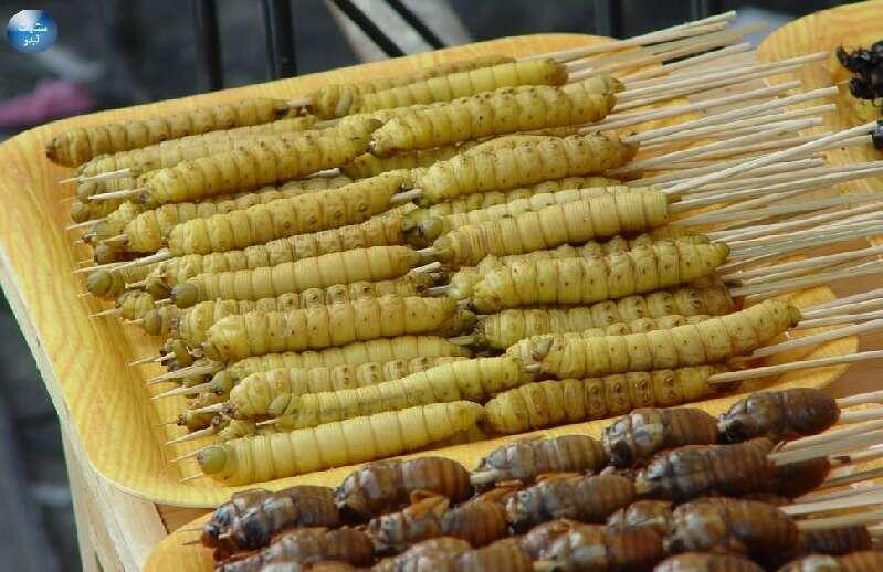 Inilah 7 Makanan Paling Ekstrim di Indonesia yang Bikin Selera Makanmu Rusak